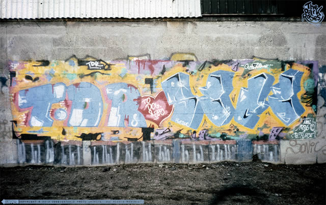 TDR-SECE... by Sece - The Dark Roses - Ellebjerg, Copenhagen, Denmark 1986